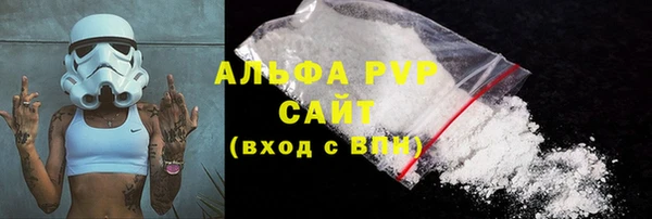 тгк Дмитриев