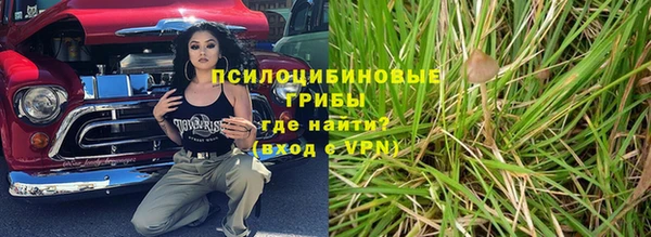дмт Дмитровск