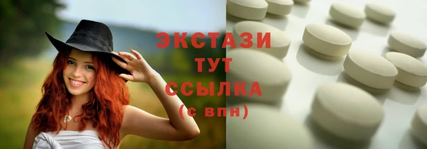 тгк Дмитриев