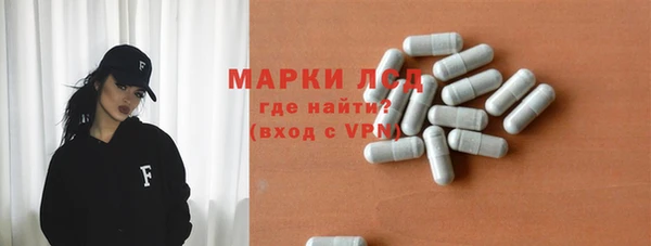 тгк Дмитриев