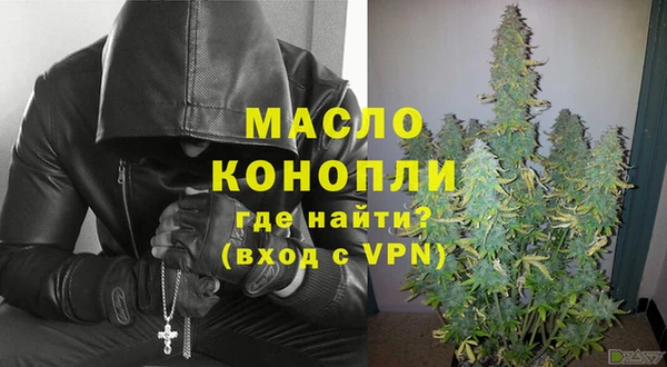 тгк Дмитриев