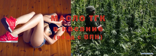 дмт Дмитровск