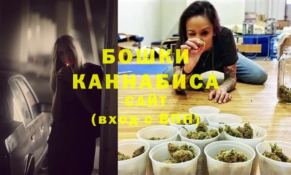 тгк Дмитриев