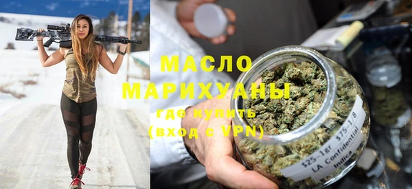 тгк Дмитриев