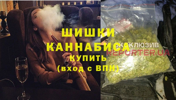 тгк Дмитриев