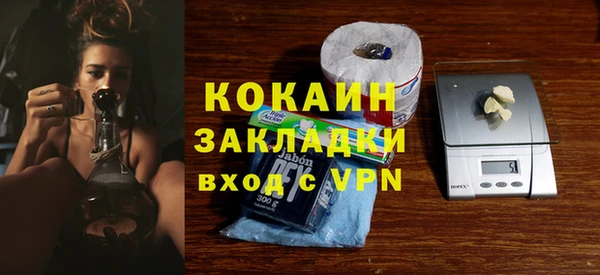 тгк Дмитриев