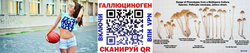 Купить закладки  Котлас  Псилоцибиновые грибы Cubensis 
